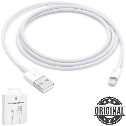 Apple Lightning To USB Cable (1 M)