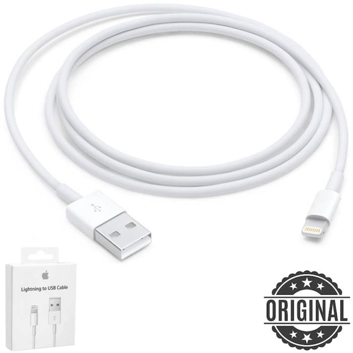 Apple Lightning To USB Cable (1 M)